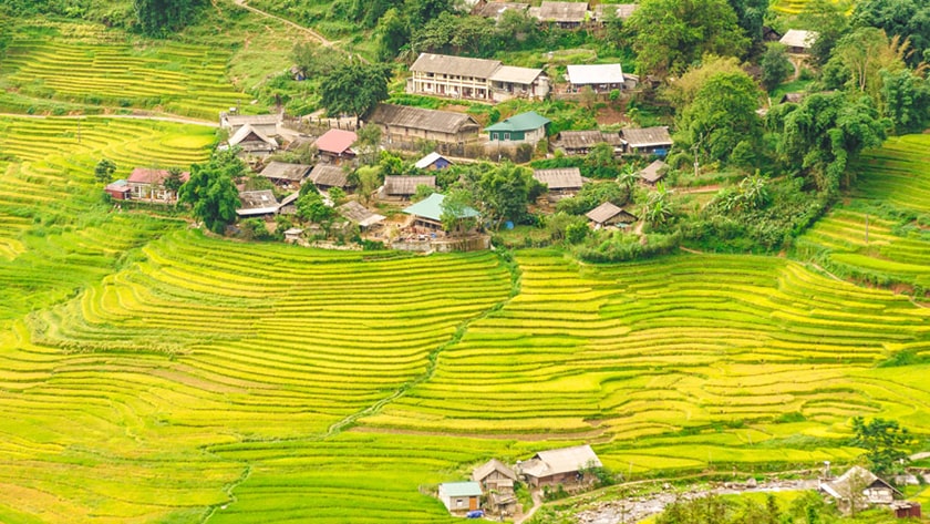 Mùa thu, tháng 8 - tháng 10