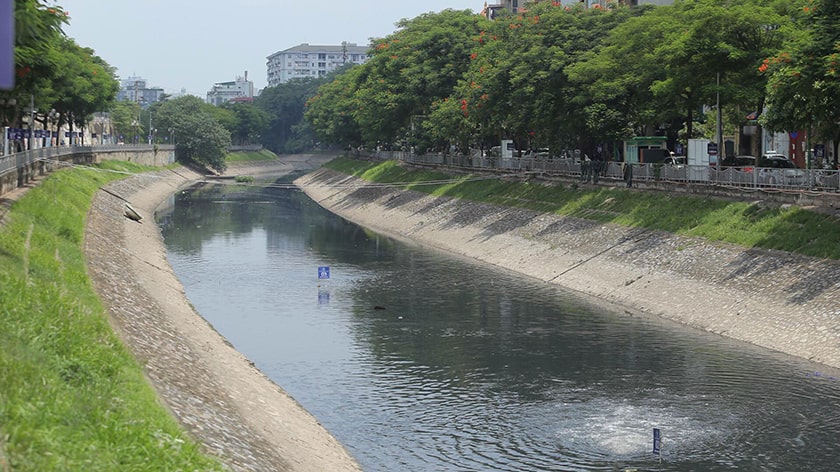 Môi trường ẩm ướt, gần sông nước