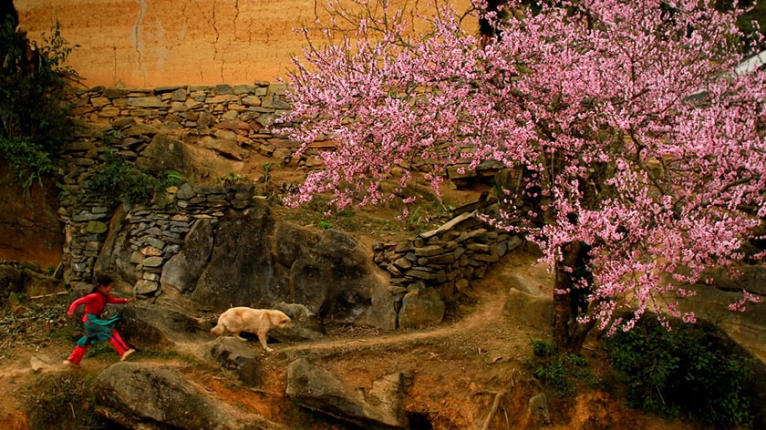 Mùa xuân, du lịch Sapa tháng 2