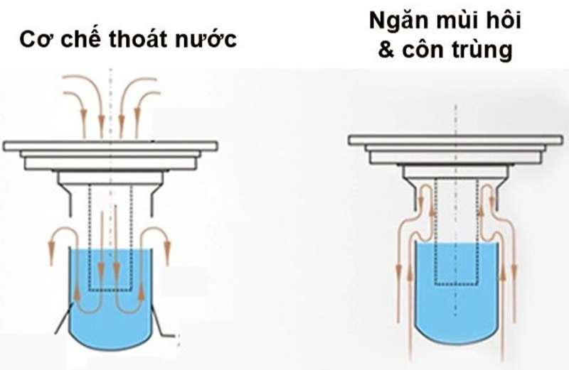 Phễu thoát sàn chống mùi hôi cơ chế giữ nước