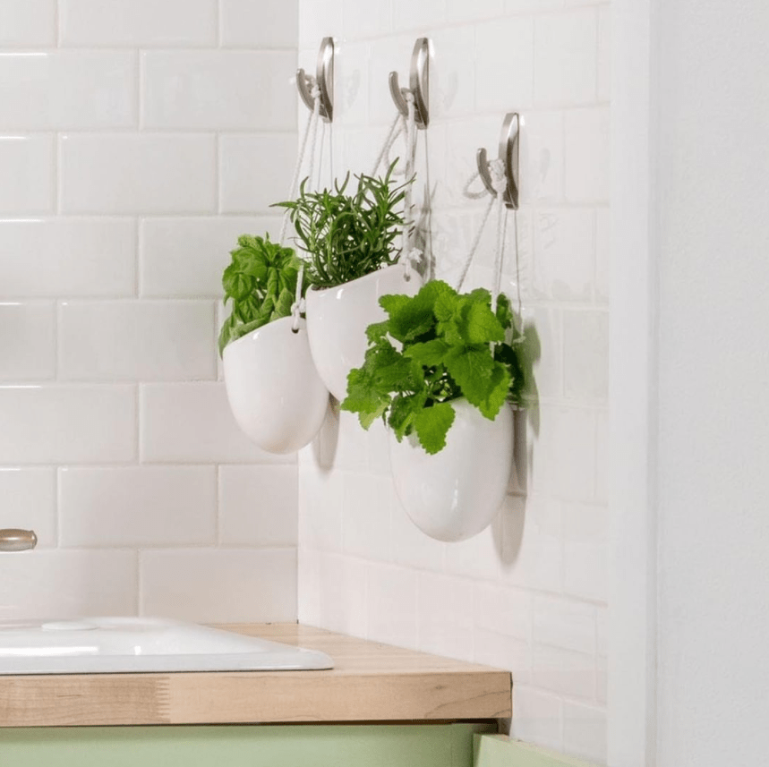 Mảng tường nhà vệ sinh được những trang trí chậu cây nhỏ