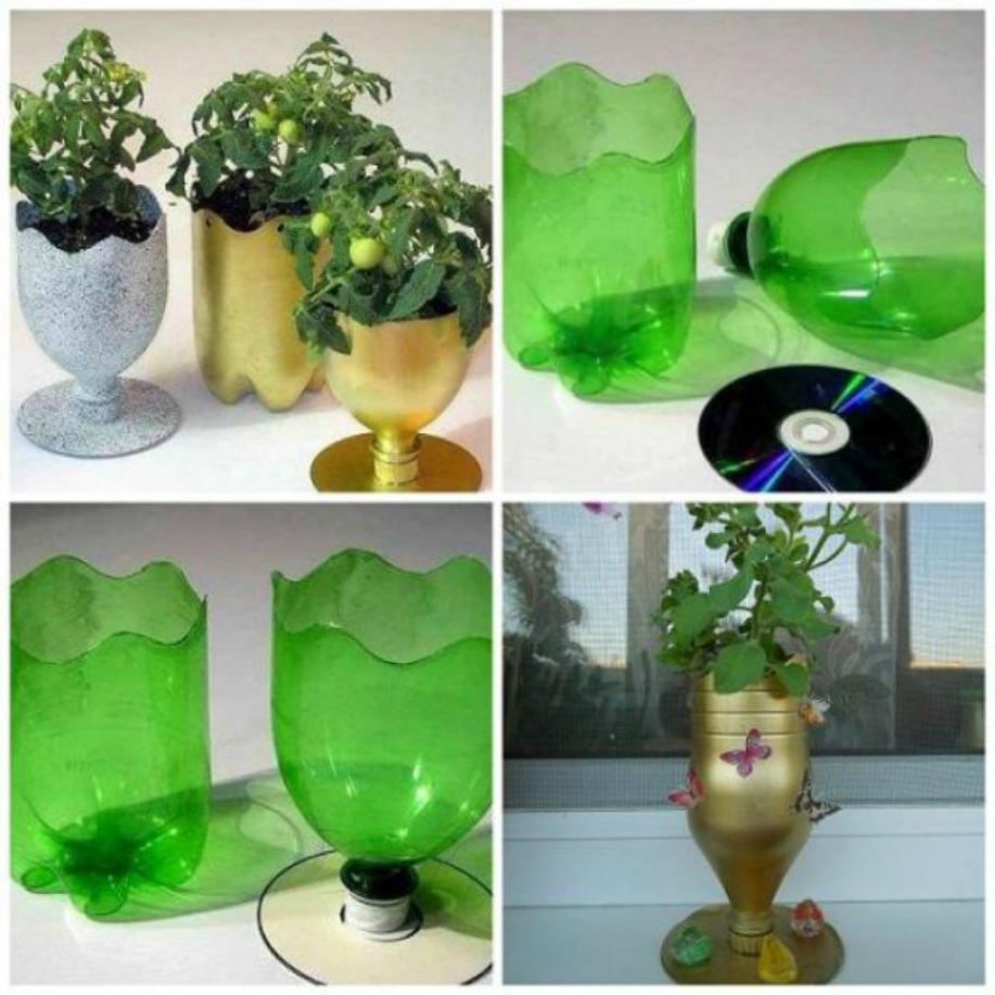 Chậu cây làm từ chai nhựa và đĩa CD đã qua sử dụng như một sự kết hợp ăn ý khi tái chế.
