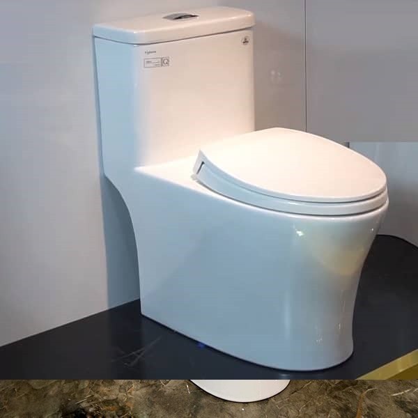 Bồn cầu liền khối của Viglacera được đánh giá cao từ kiểu dáng đến chất lượng