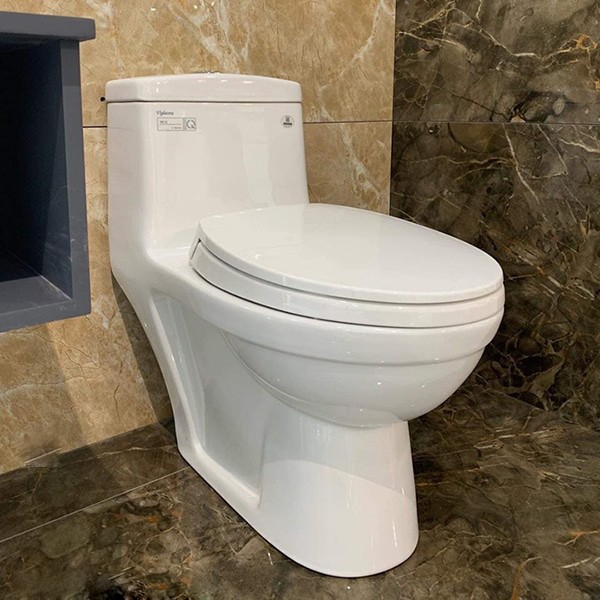 Thiết kế bàn cầu 1 khối Viglacera chú trọng đến sự tinh tế và hiện đại