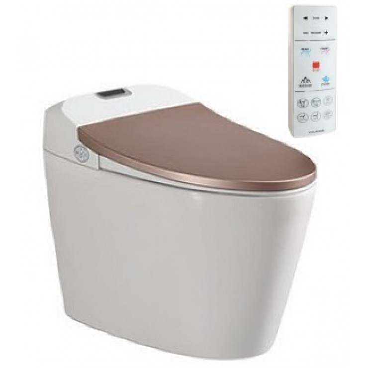 Bồn cầu thông minh của Viglacera có nhiều kiểu dáng đẹp, sang trọng và hiện đại