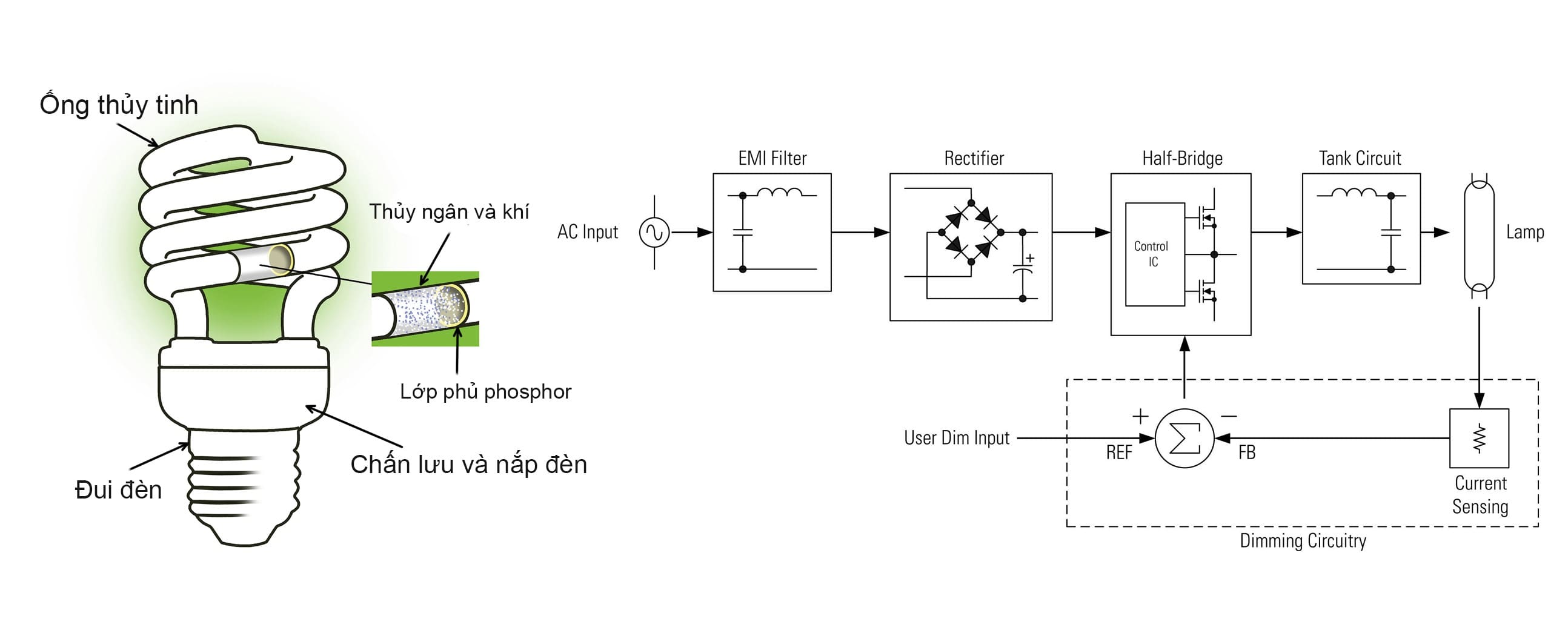 Cấu tạo và nguyên lý hoạt động của đèn Compact