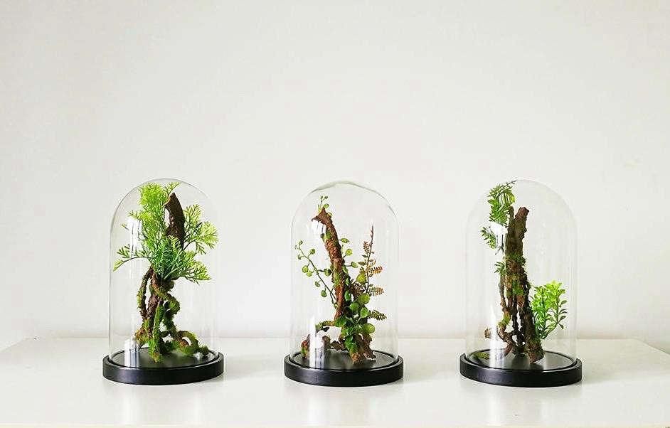 cay-bonsai-trong-long-kinh
