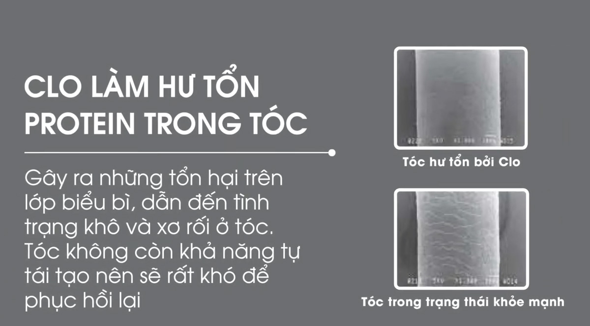 tac-hai-cua-clo-1