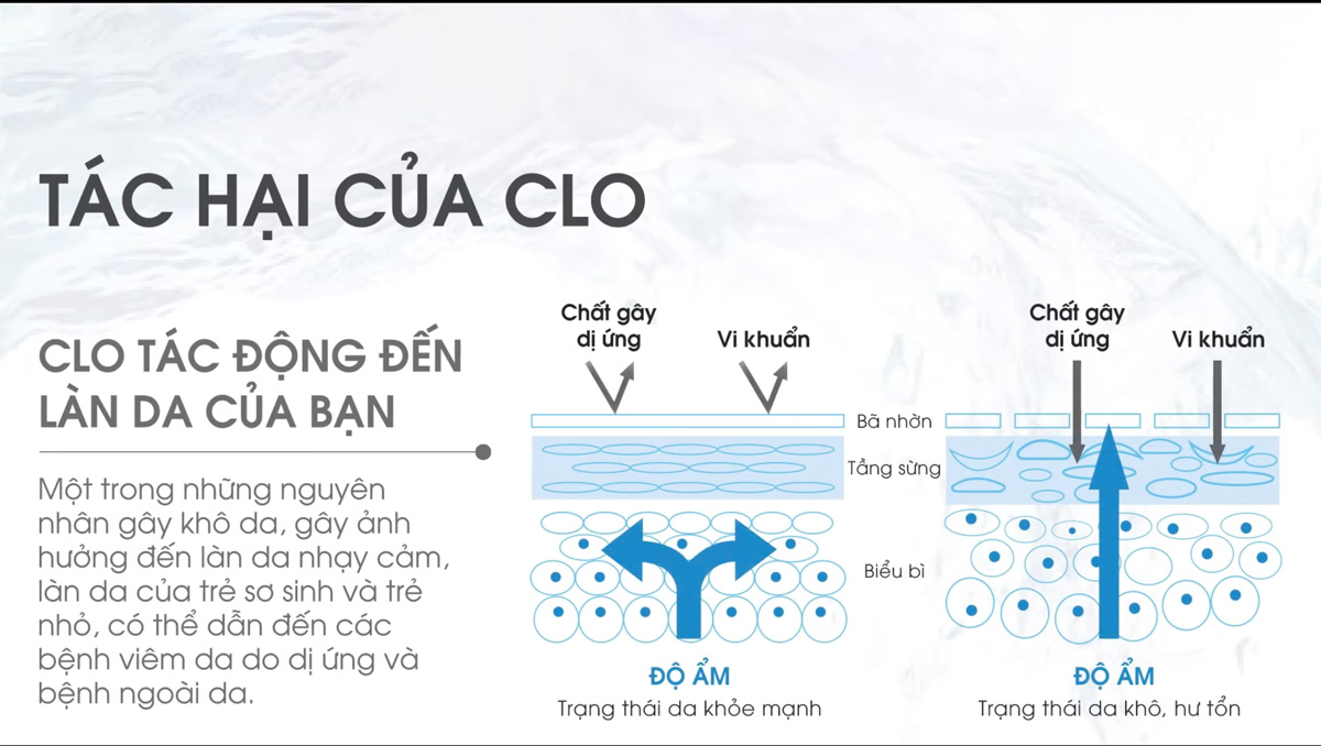 tac-hai-cua-clo