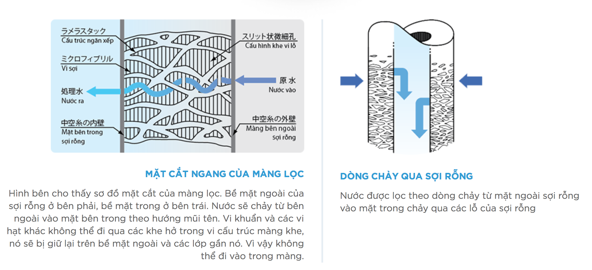 loi-loc-nuoc-cleanssui