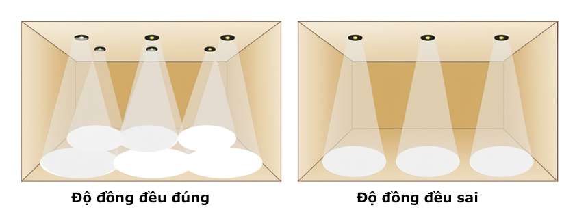 Độ đồng đều đúng và độ đồng đều sai