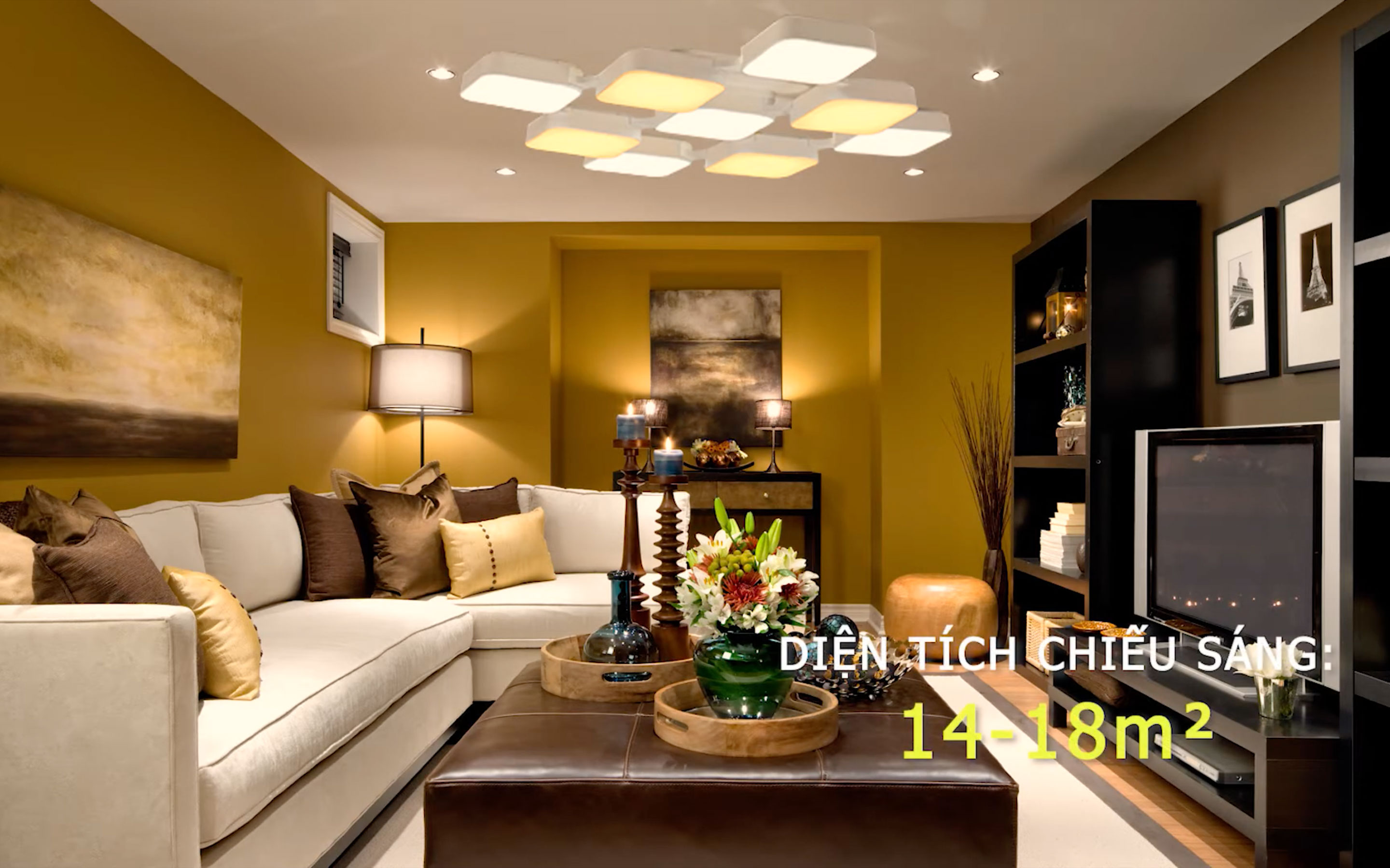 den-tran-hh-laz504988-1