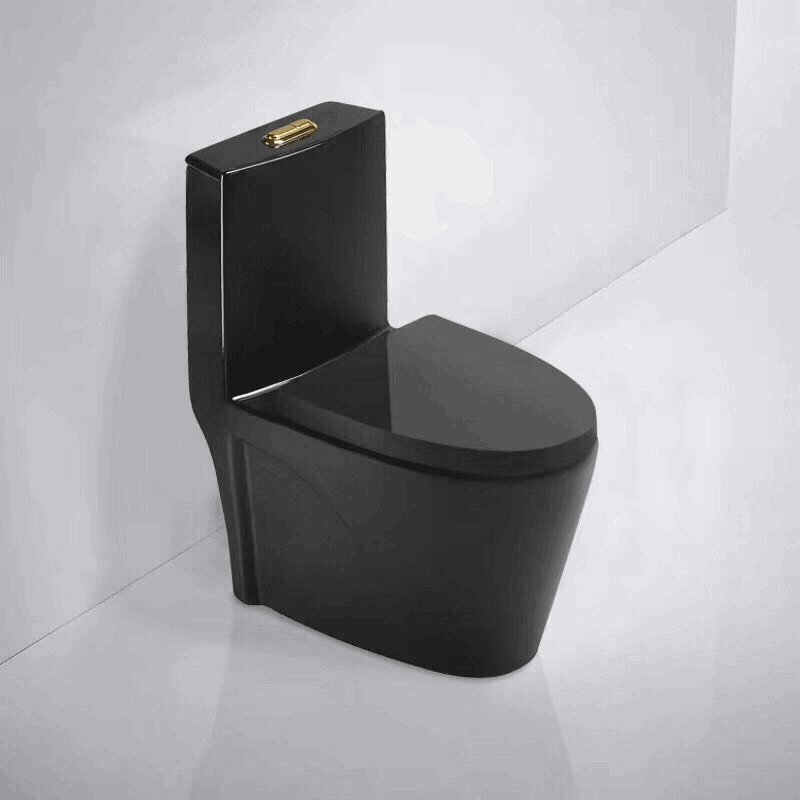 Bồn cầu màu đen thiết kế 1 khối thông dụng