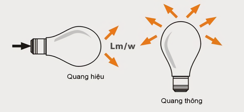Chỉ số quang thông Lumen