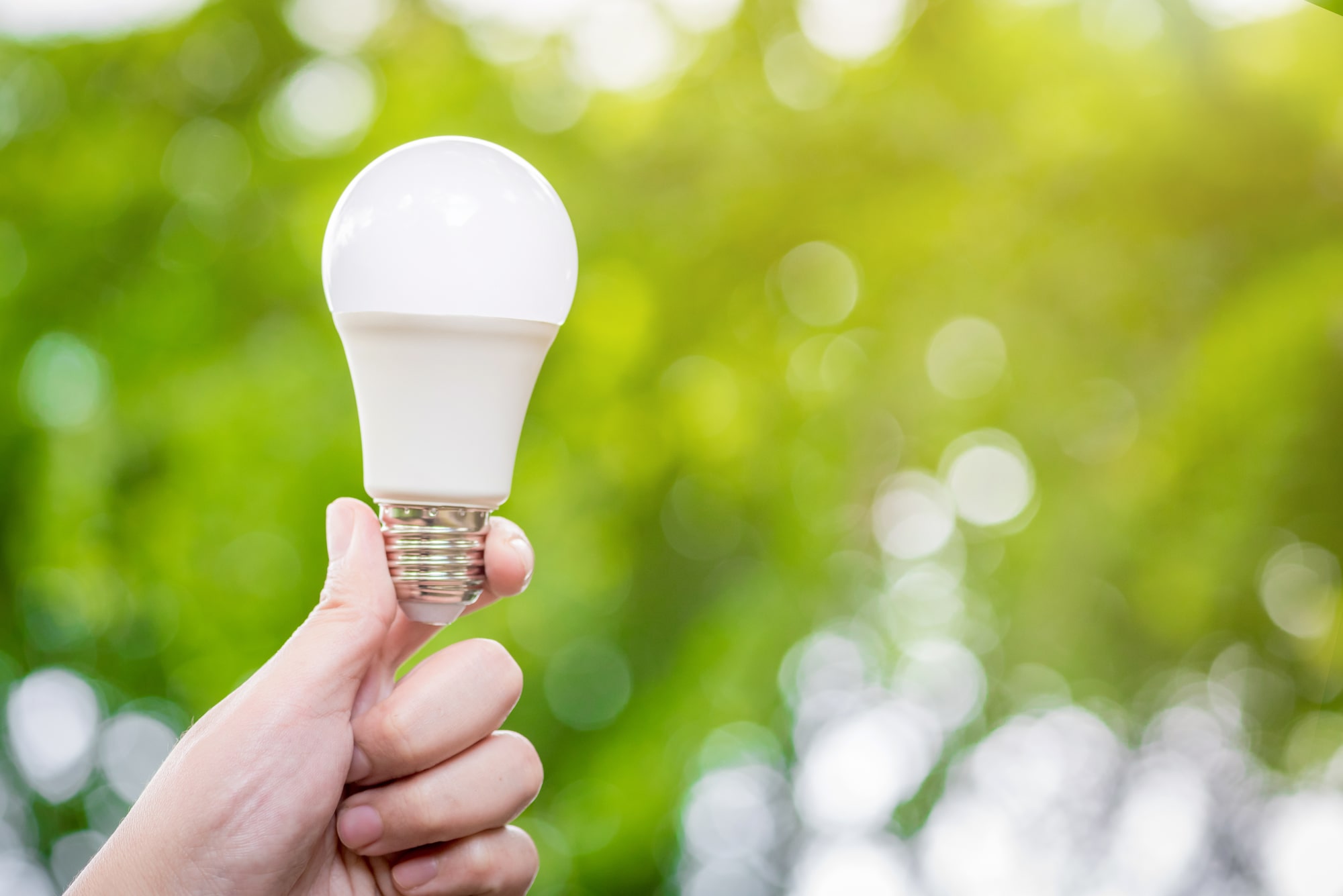 Bảo vệ môi trường sống