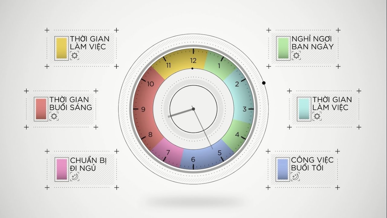 Nhịp sinh học bình thường của một người hàng ngày