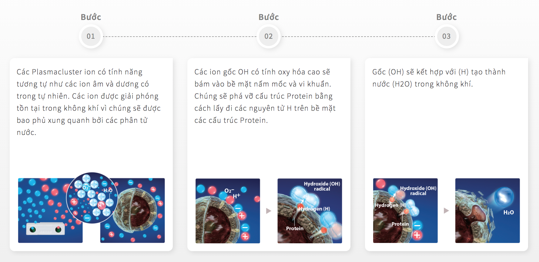 screen-shot-2021-05-24-at-1-44-21-pm