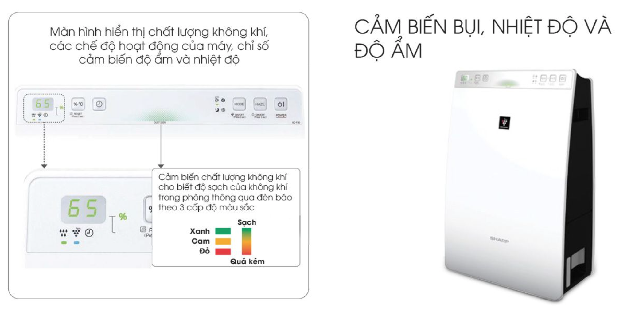 screen-shot-2021-05-24-at-4-52-20-pm