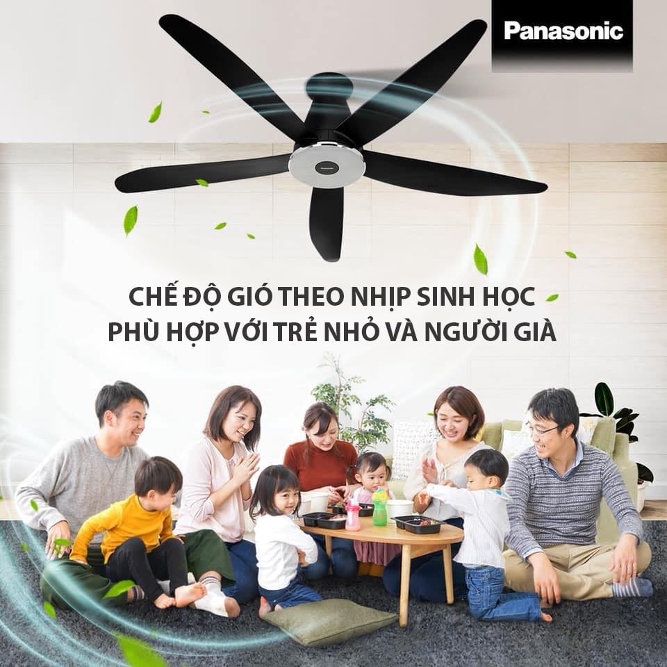 Quạt trần 5 cánh điều khiển từ xa Panasonic F-60XDN
