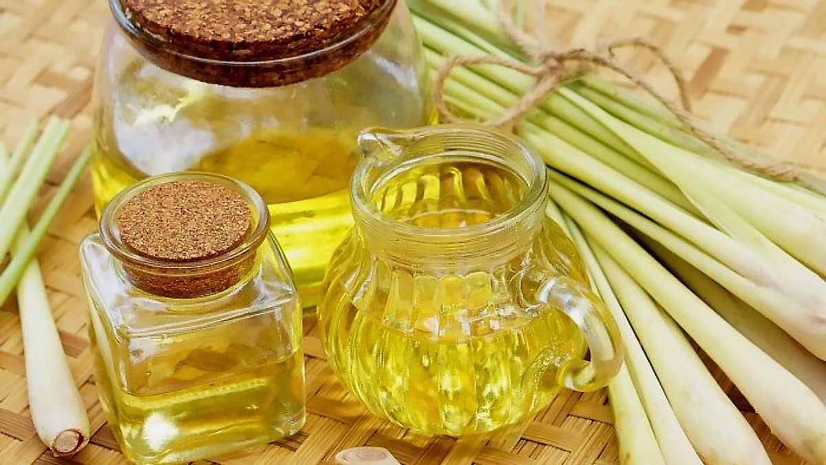 Sử dụng tinh dầu thơm khử mùi ẩm mốc phòng ngủ