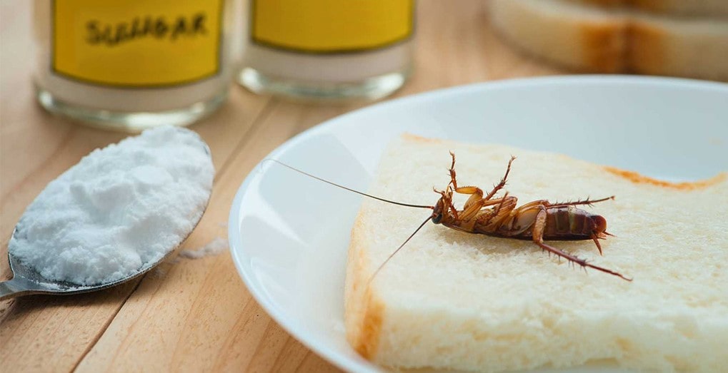 Diệt c&ocirc;n tr&ugrave;ng trong nh&agrave; vệ sinh bằng baking soda