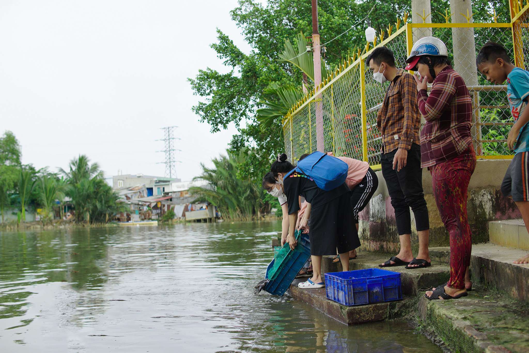 HITA thả cá phóng sanh