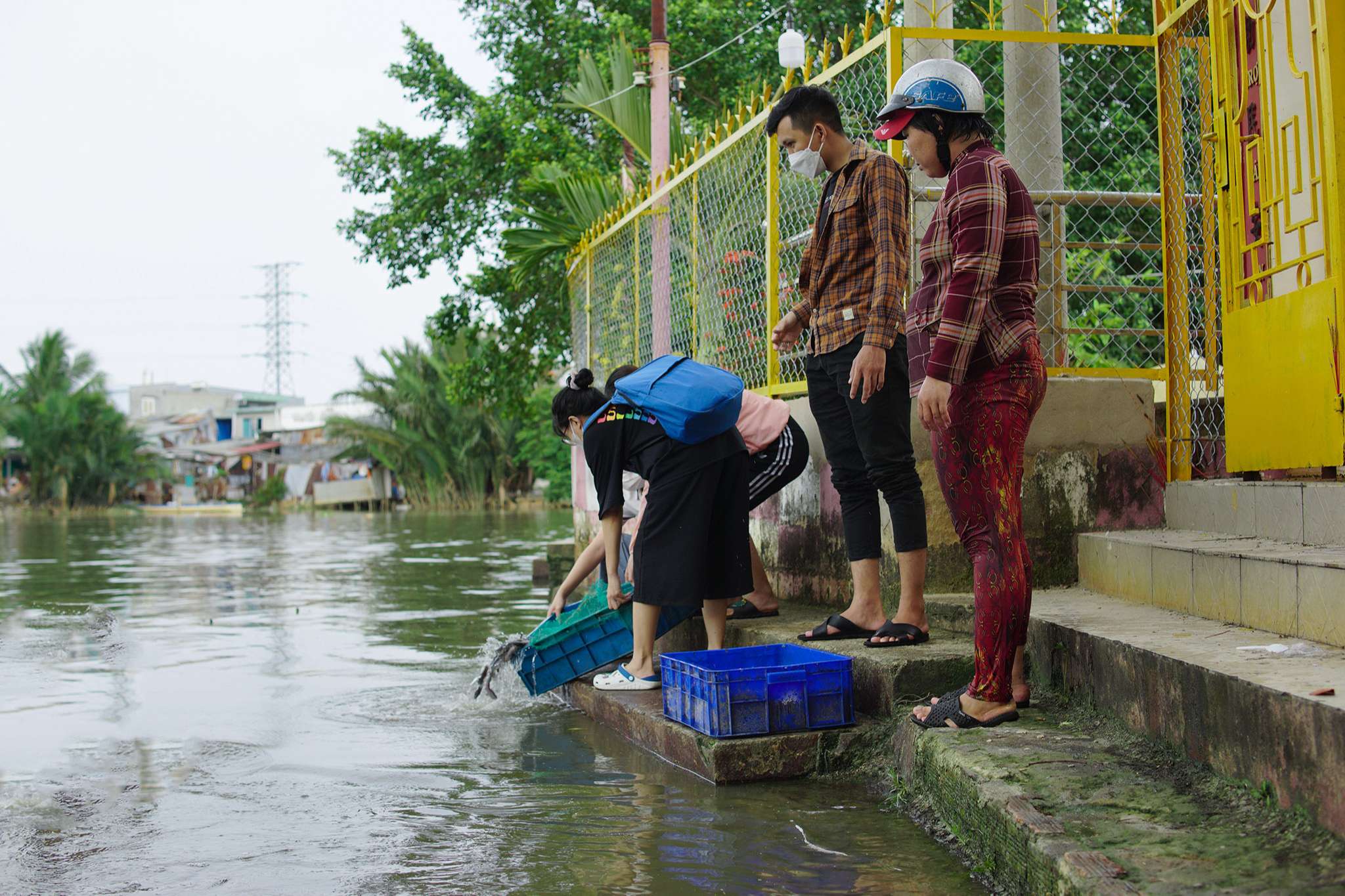 HITA thả cá phóng sanh