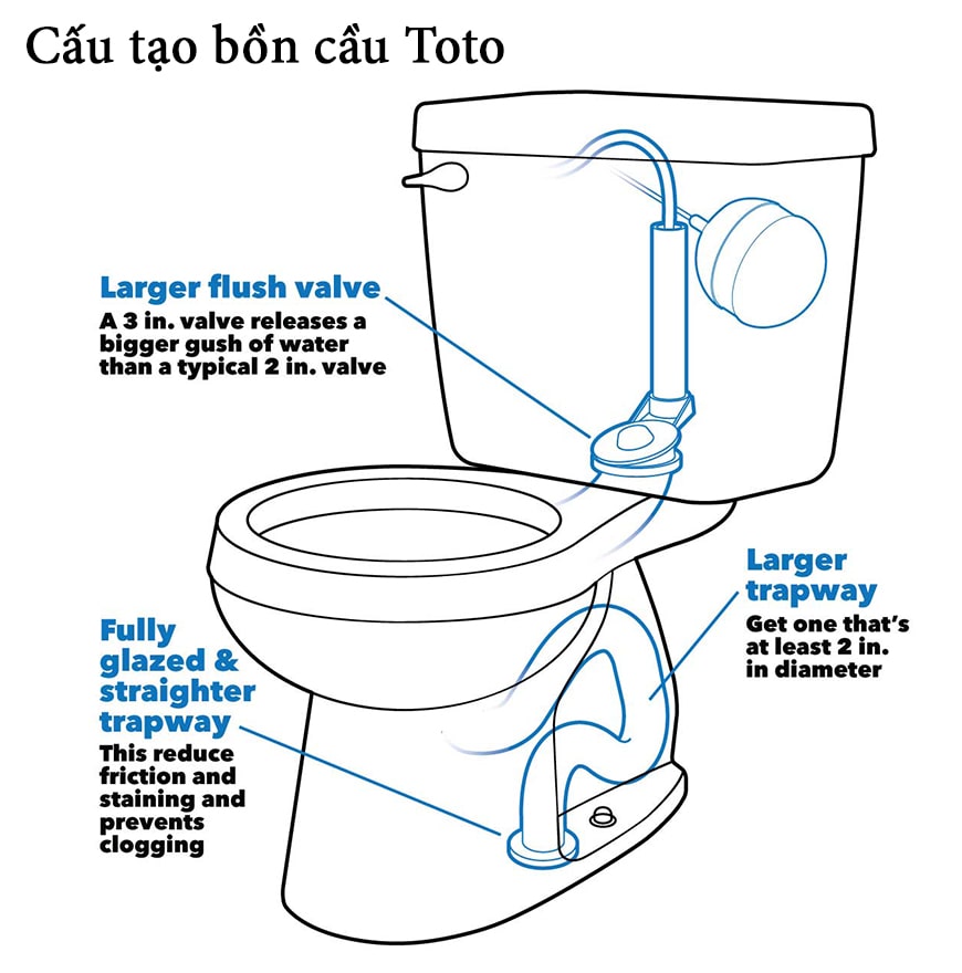 Cấu tạo bồn cầu Toto