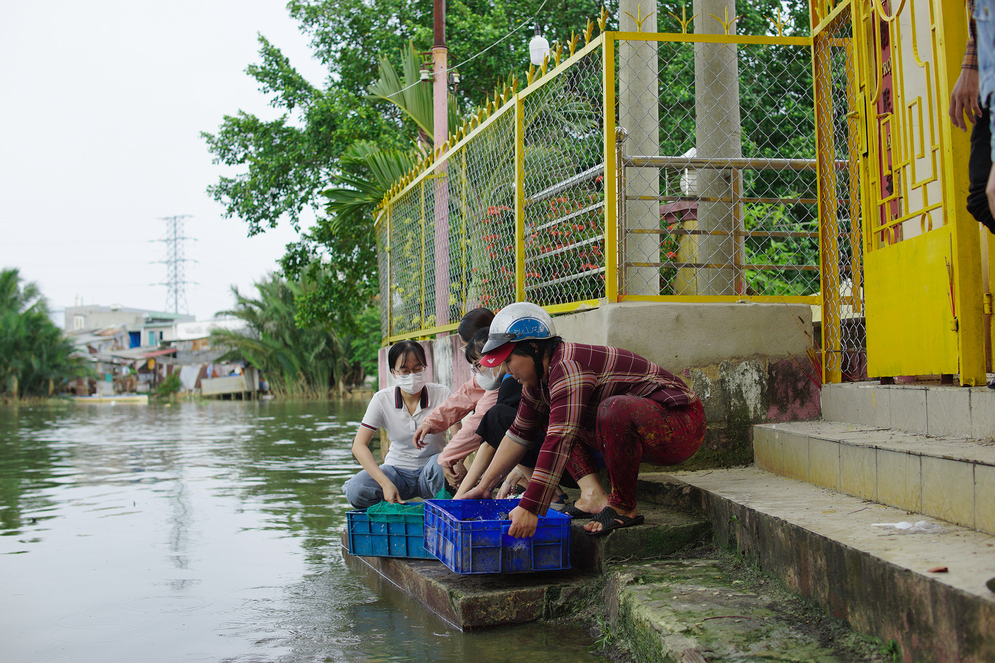HITA thả cá phóng sanh