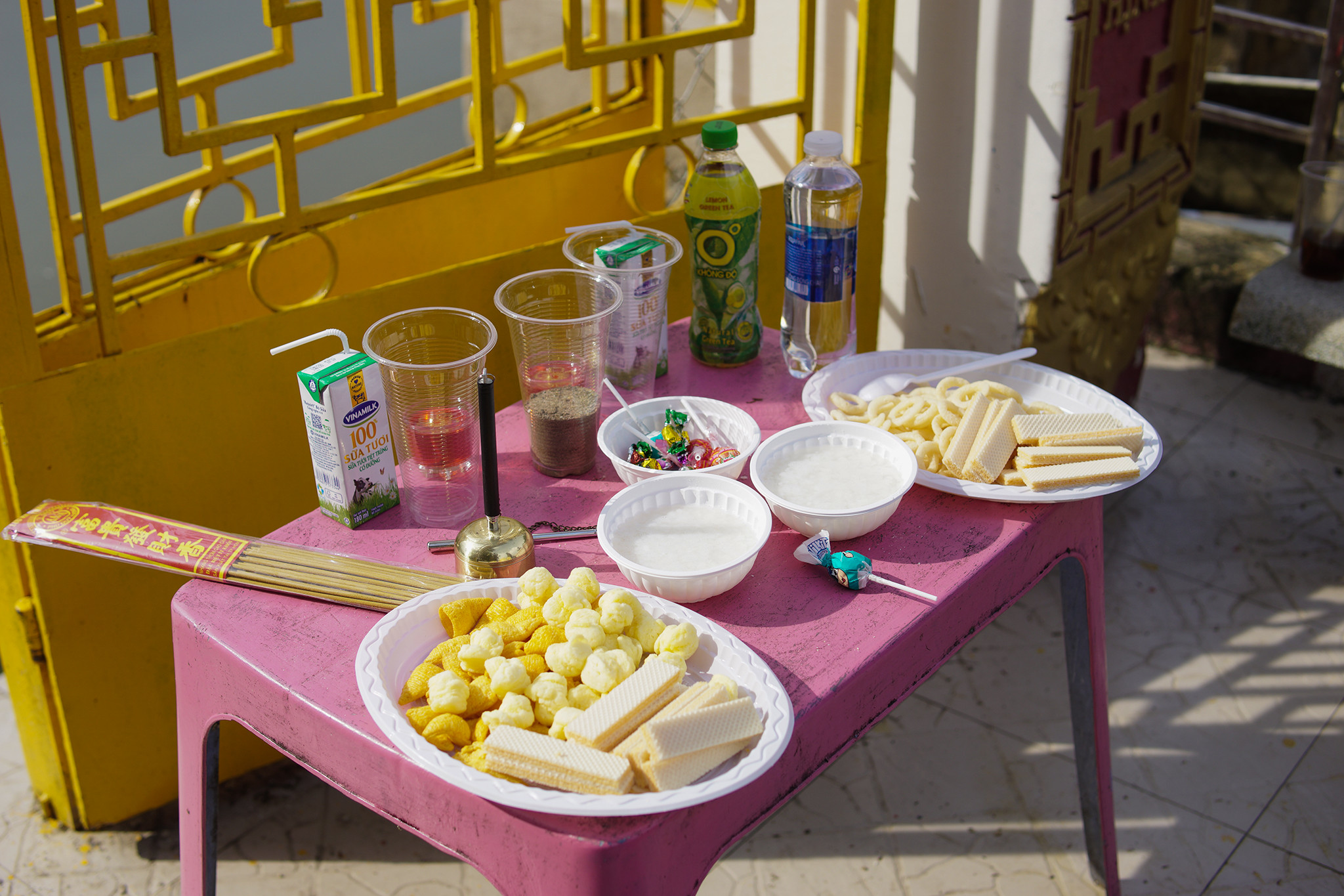 HITA thả cá phóng sanh